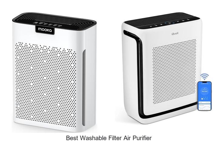 best washable filter air purifier