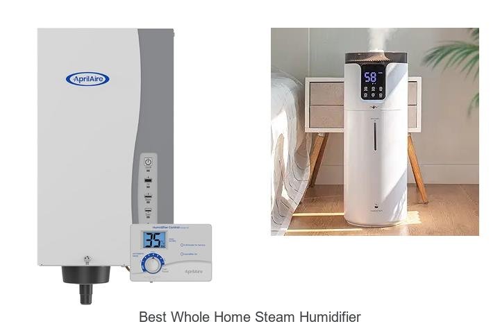 best whole home steam humidifier