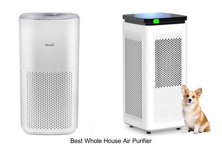 best whole house air purifier