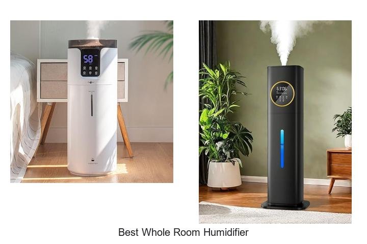 best whole room humidifier